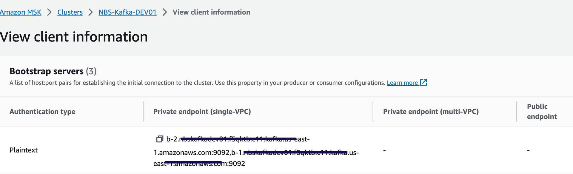 data-ingestion-kafka-endpoint