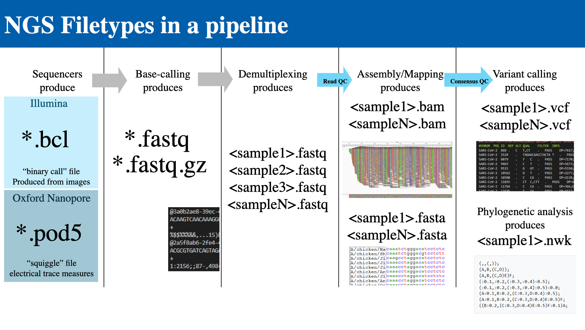 NGS pipeline file types overview