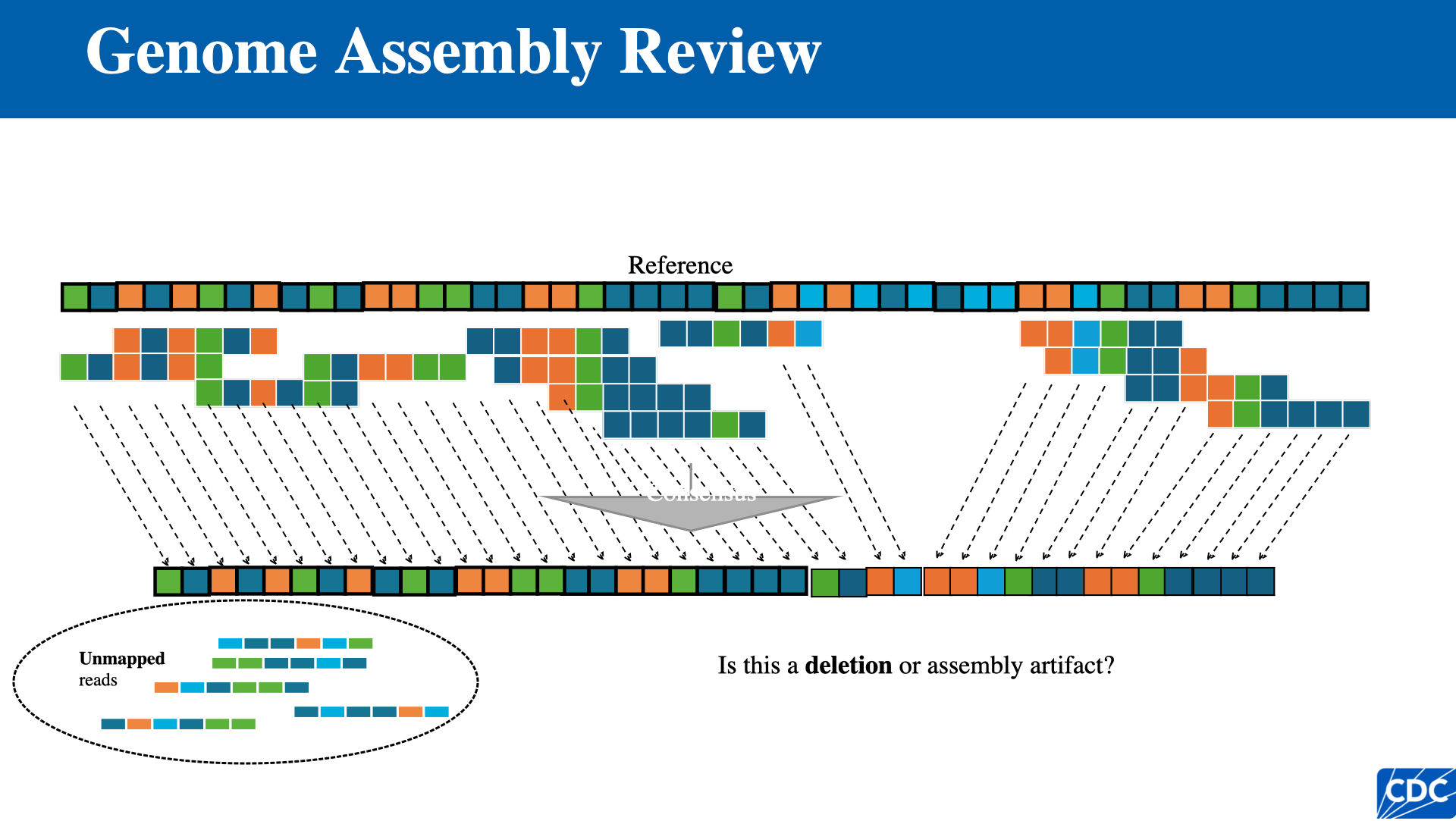 Reference-based assembly overview