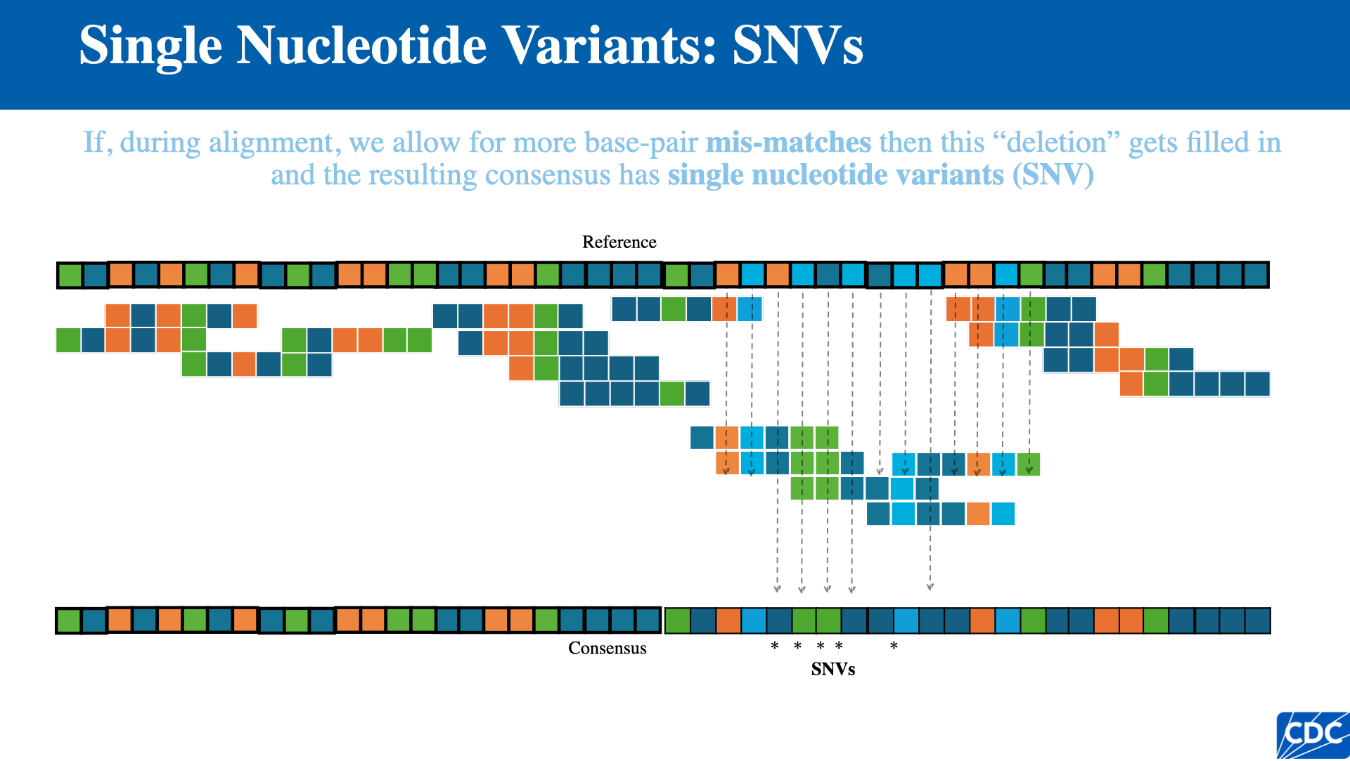 Single nucleotide variants