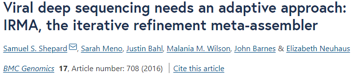 IRMA iterative refinement diagram