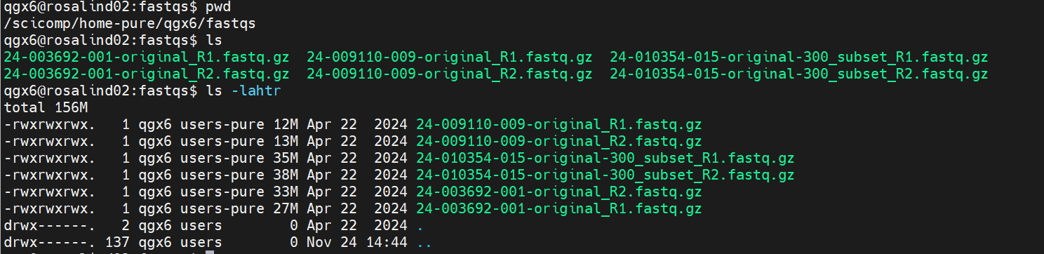 Filesystem and Permissions