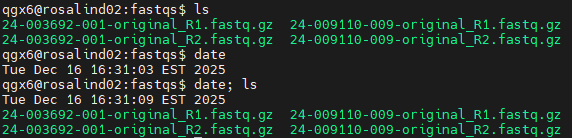 Semicolon and comment