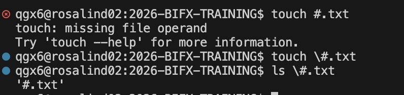 Human view vs shell view