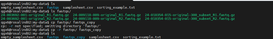 cp -R directory example